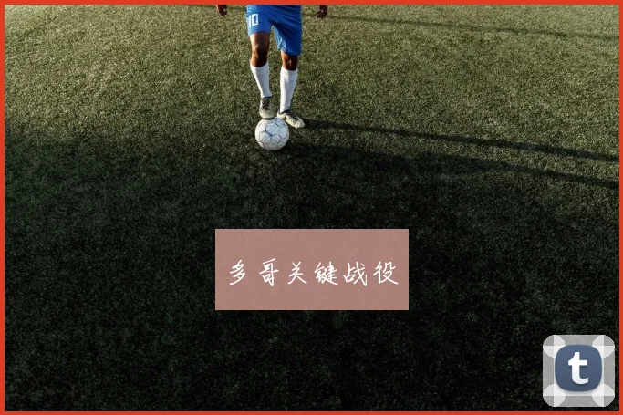 多哥关键战役