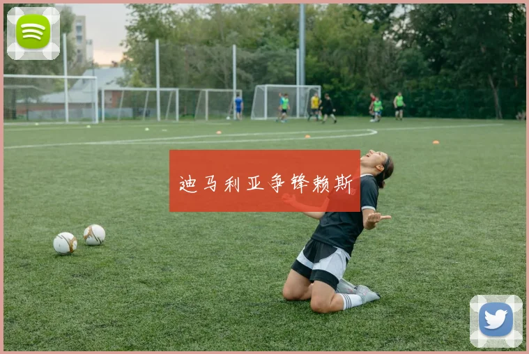 迪马利亚争锋赖斯