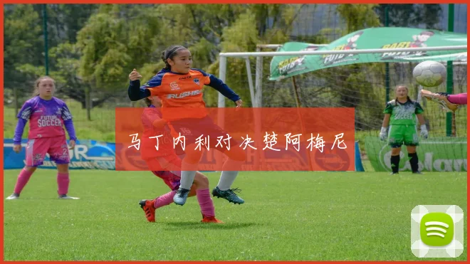 马丁内利对决楚阿梅尼