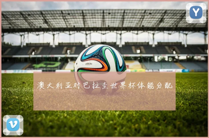 澳大利亚对巴拉圭世界杯体能分配