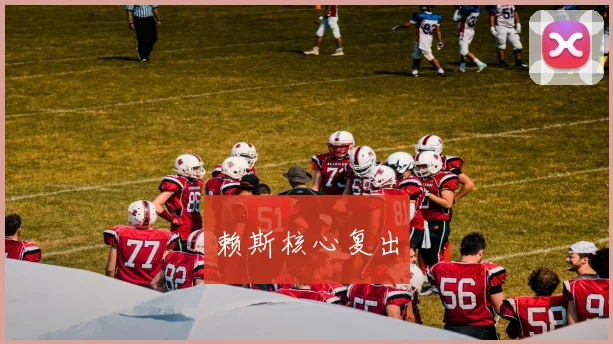 赖斯核心复出