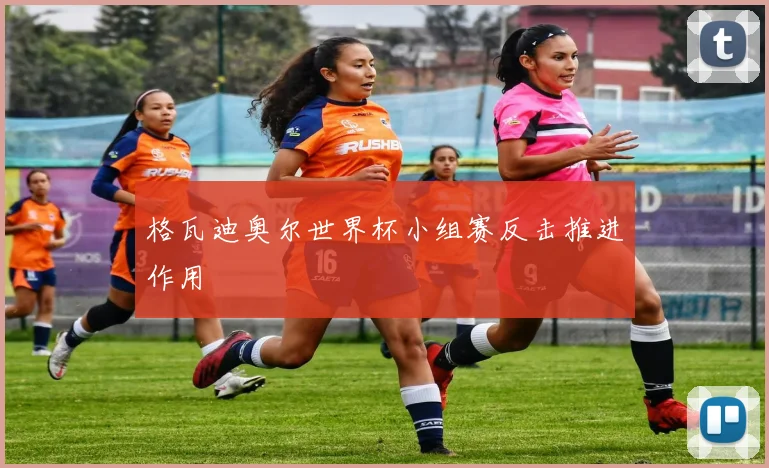 格瓦迪奥尔世界杯小组赛反击推进作用