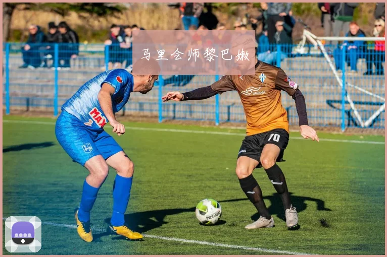 马里会师黎巴嫩