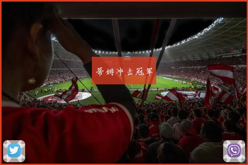 蒂姆冲击冠军