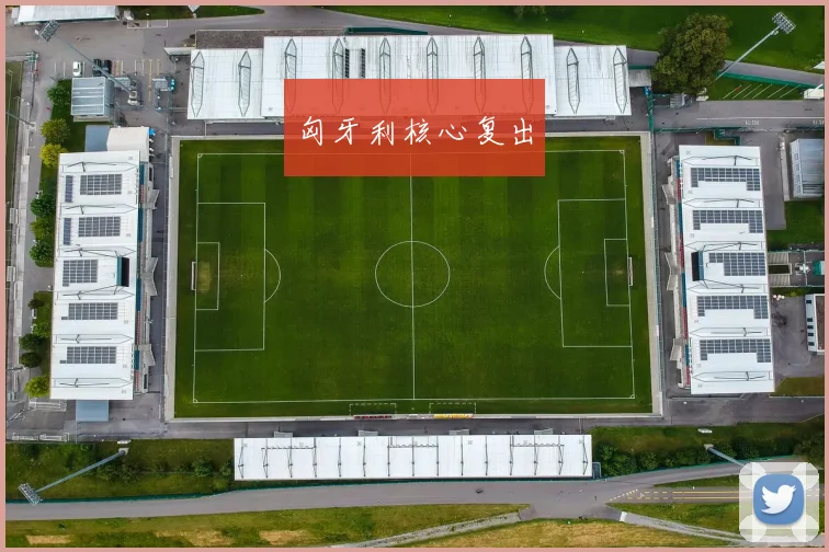 匈牙利核心复出