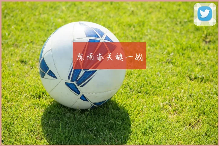 陈雨菲关键一战