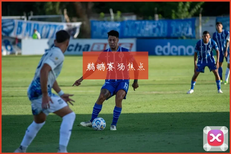 鹈鹕赛场焦点