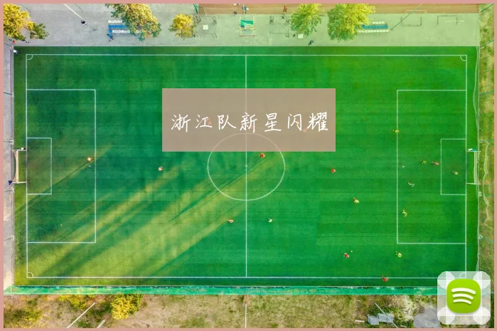 浙江队新星闪耀