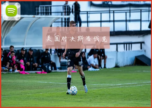 美国对决斯洛伐克
