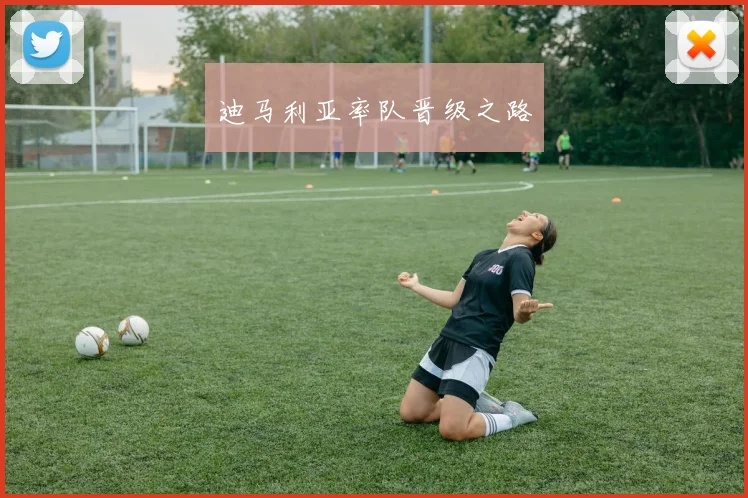 迪马利亚率队晋级之路