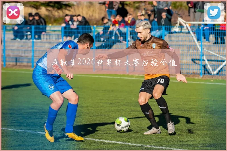 马勒基2026世界杯大赛经验价值