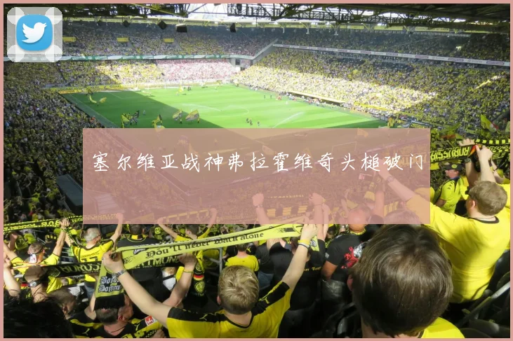 塞尔维亚战神弗拉霍维奇头槌破门