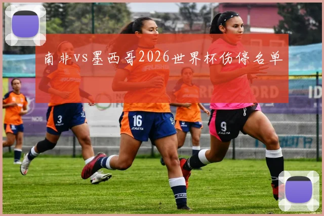 南非vs墨西哥2026世界杯伤停名单