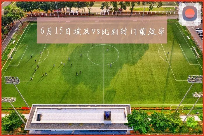 6月15日埃及vs比利时门前效率