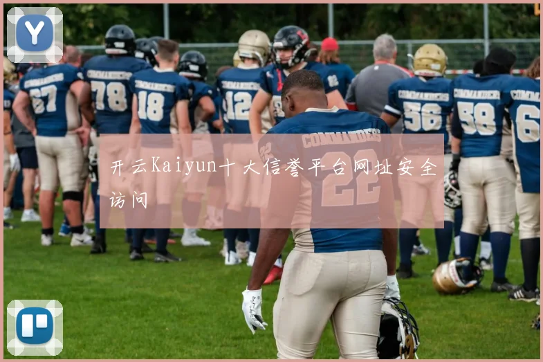 开云Kaiyun十大信誉平台网址安全访问