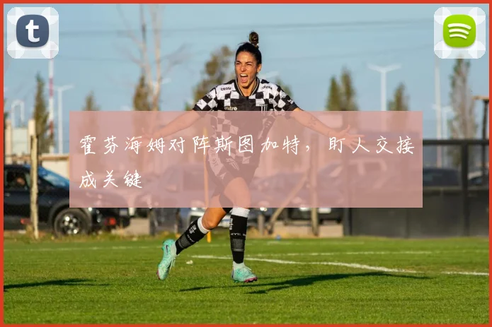 霍芬海姆对阵斯图加特,盯人交接成关键