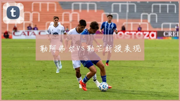勒阿弗尔vs勒芒新援表现