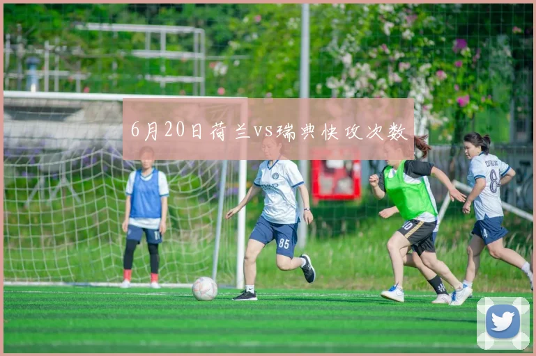 6月20日荷兰vs瑞典快攻次数